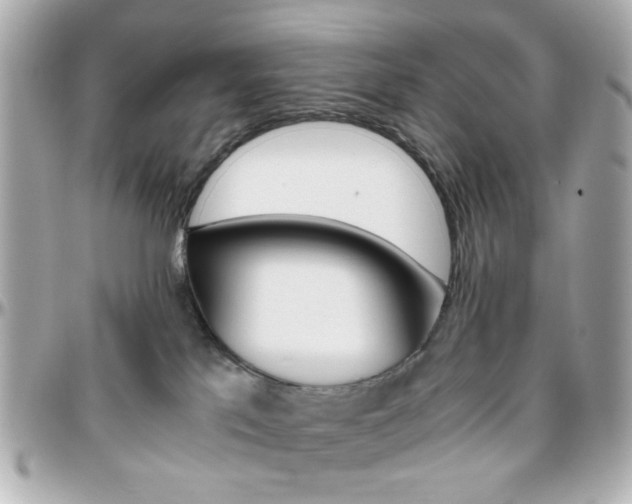 X0000096400041200801241013