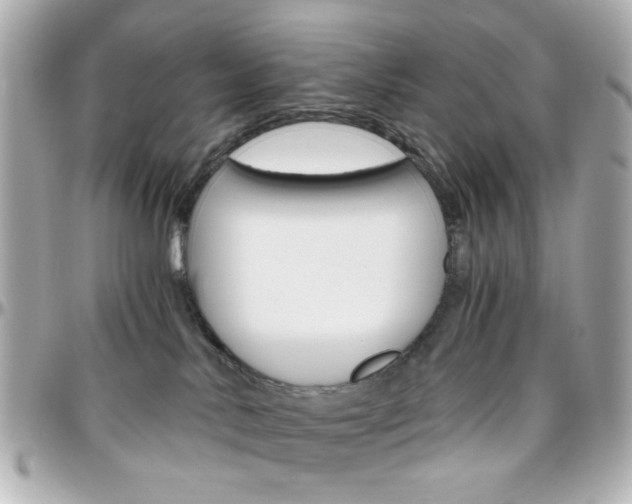 X0000096400042200801241013