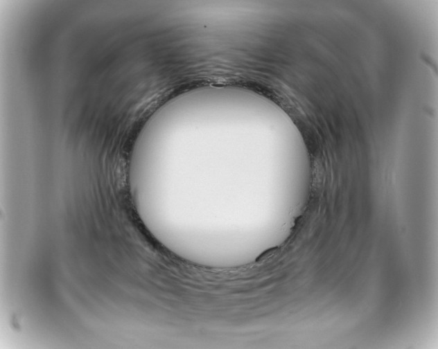 X0000096400043200801241013