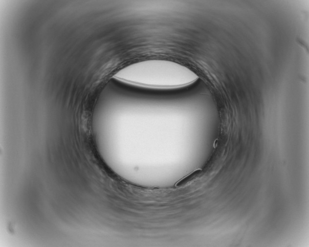 X0000096400044200801241013