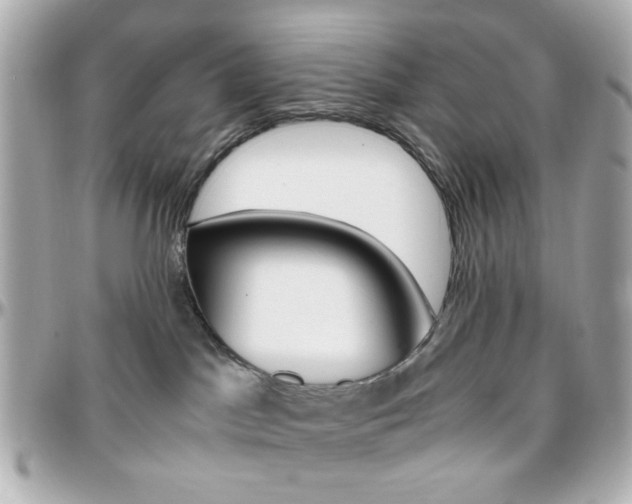 X0000096400045200801241013