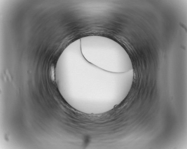 X0000096400046200801241013