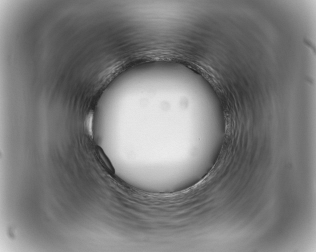 X0000096400047200801241013