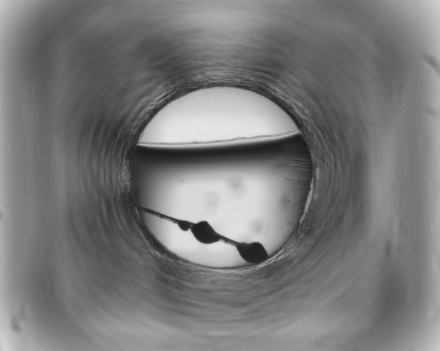 X0000096400048200801241013