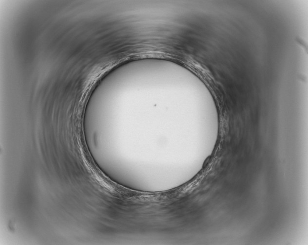 X0000096400049200801241012