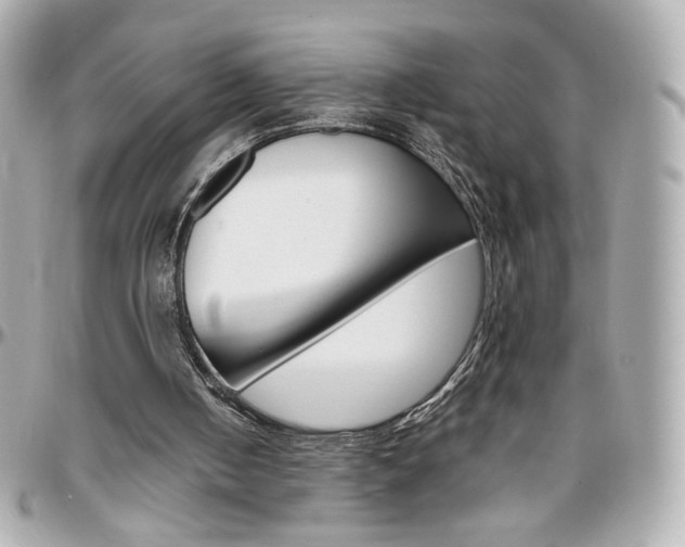 X0000096400050200801241012