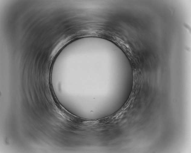 X0000096400051200801241012