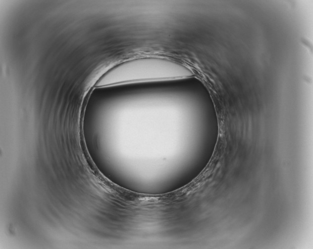 X0000096400052200801241012