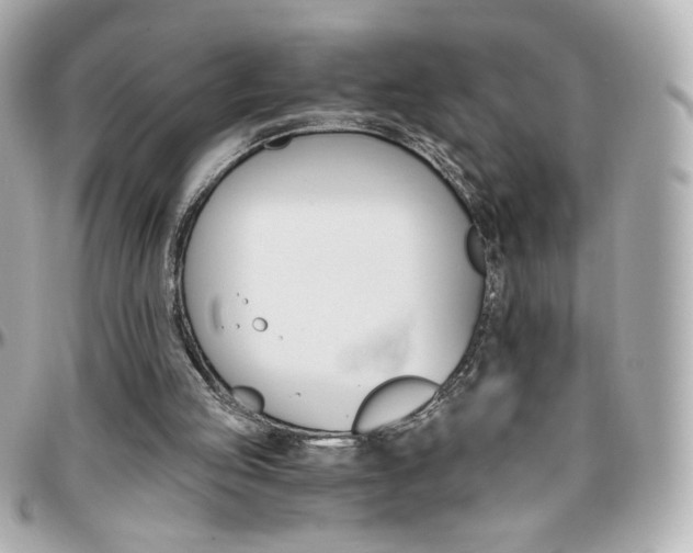 X0000096400053200801241012