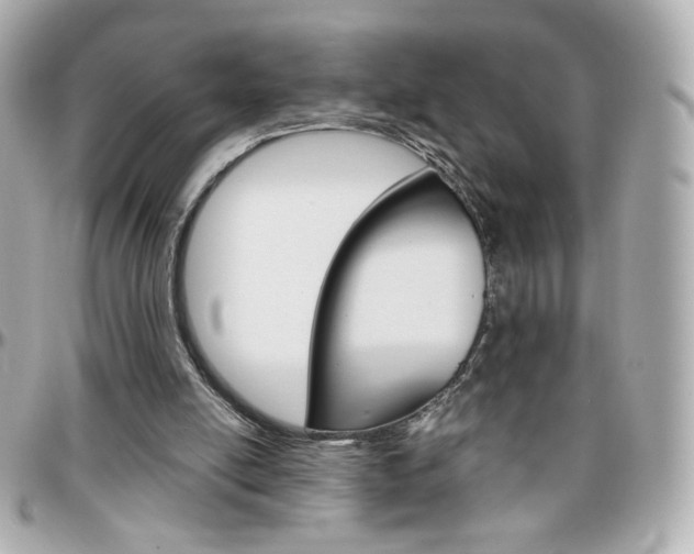 X0000096400054200801241012