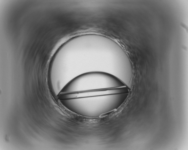 X0000096400056200801241012