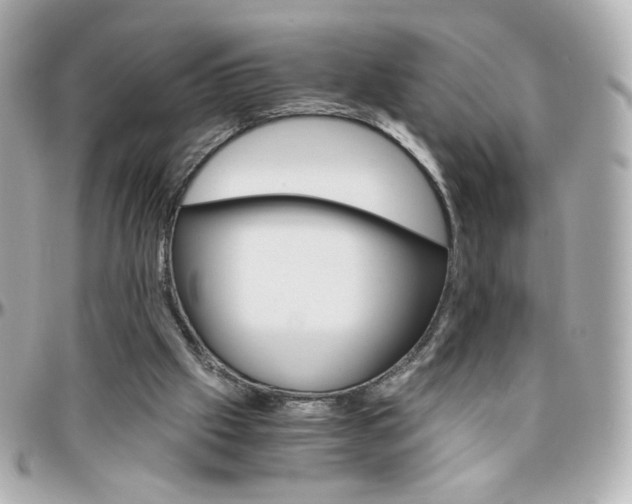 X0000096400057200801241012