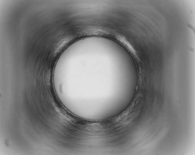 X0000096400058200801241012