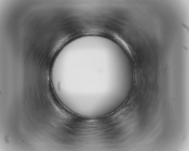 X0000096400059200801241012