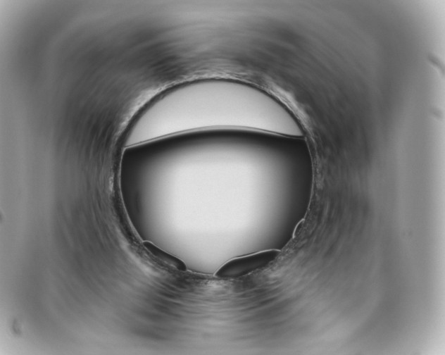 X0000096400060200801241012