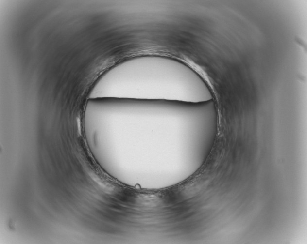 X0000096400061200801241012