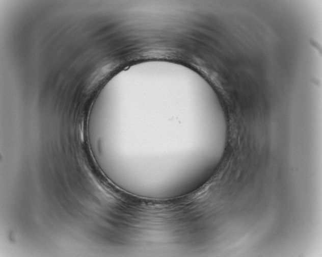 X0000096400062200801241012