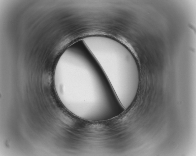 X0000096400063200801241012