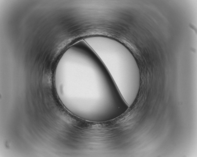 X0000096400064200801241012