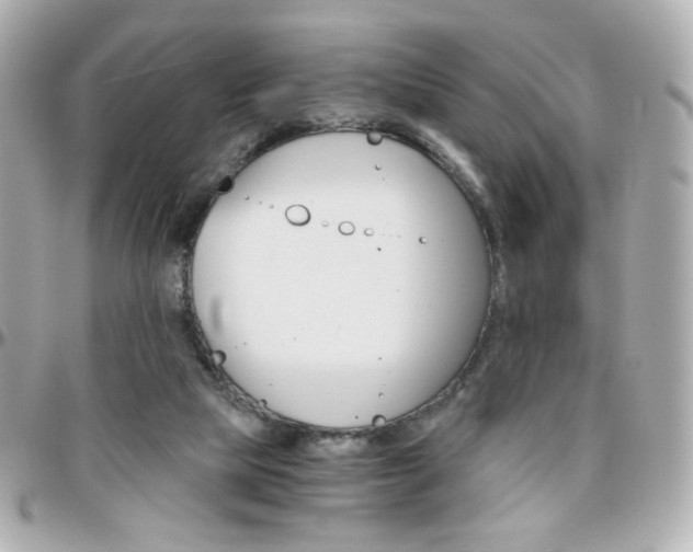 X0000096400065200801241012