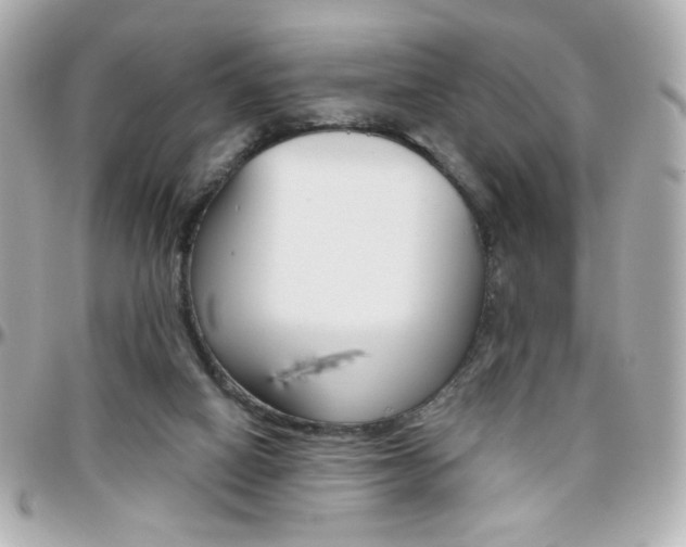 X0000096400066200801241012