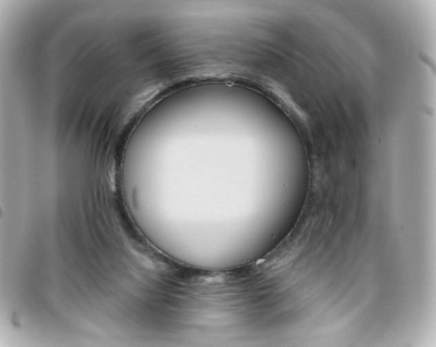 X0000096400068200801241012