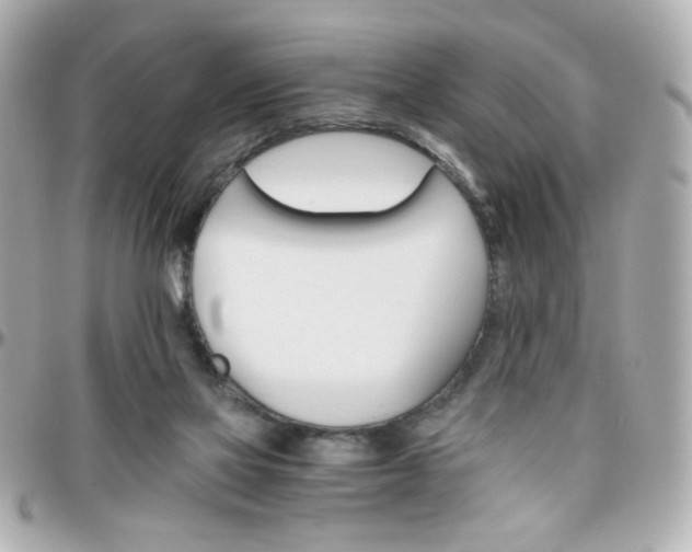 X0000096400069200801241013