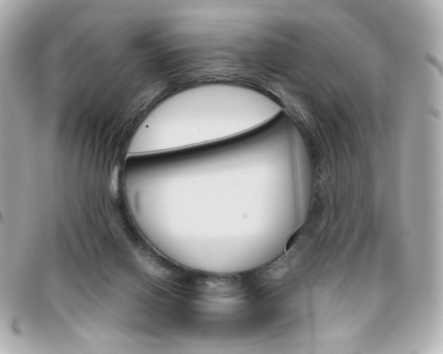 X0000096400070200801241013