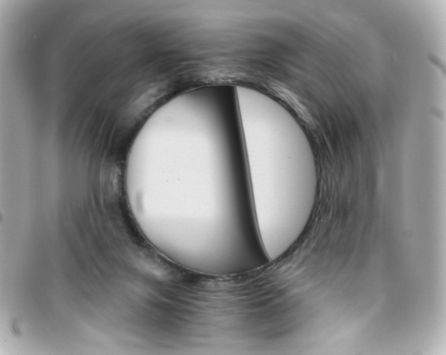 X0000096400071200801241013