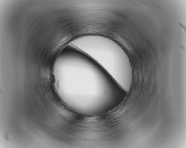 X0000096400072200801241013