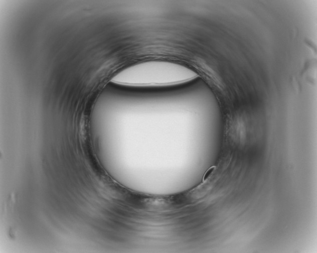 X0000096400074200801241013