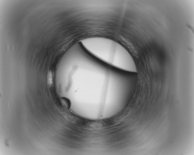 X0000096400075200801241013