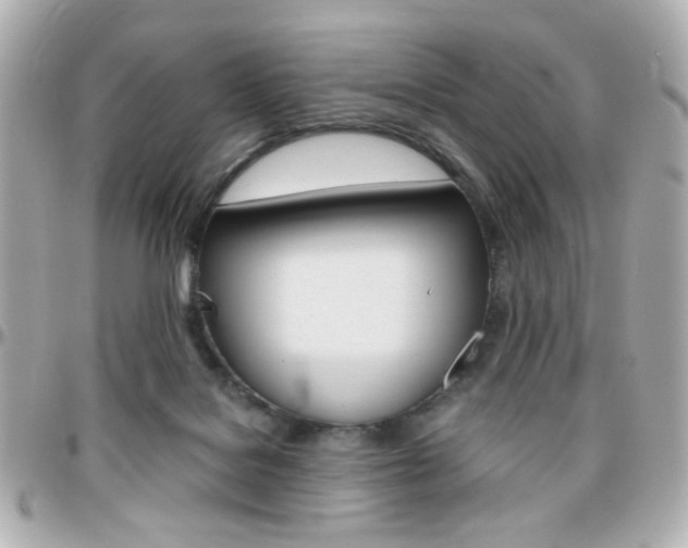 X0000096400076200801241013