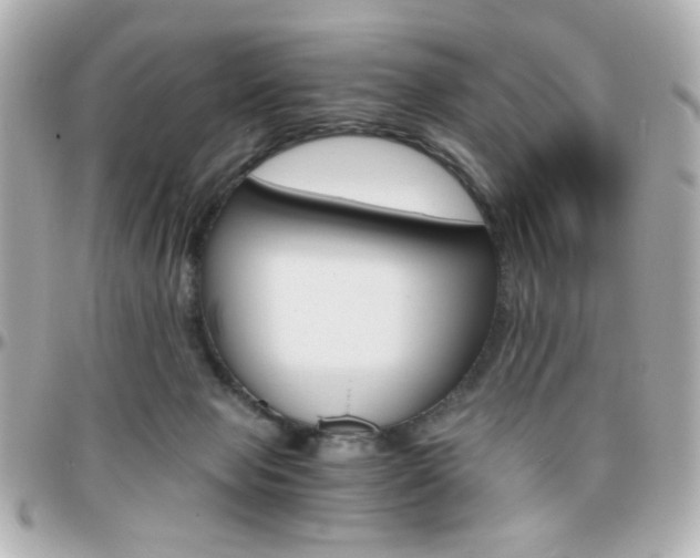 X0000096400077200801241013