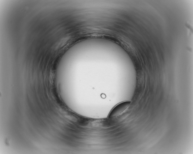 X0000096400078200801241013