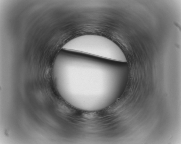 X0000096400079200801241013