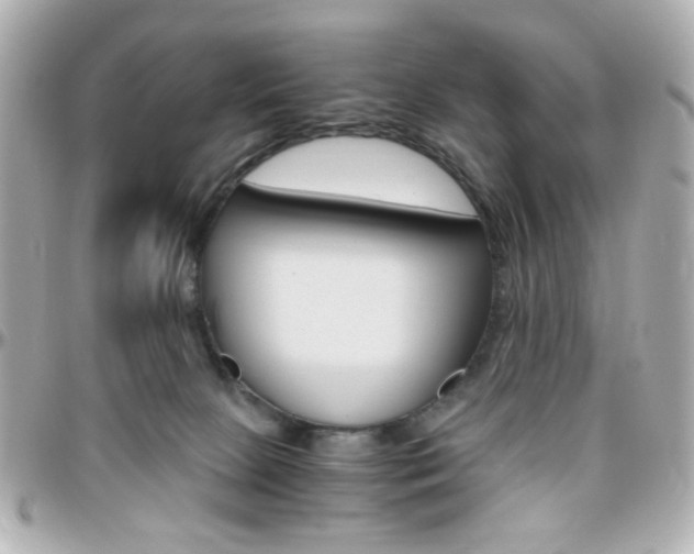 X0000096400081200801241013