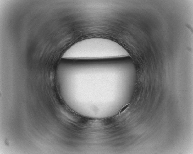 X0000096400082200801241013