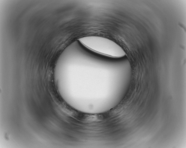 X0000096400083200801241013