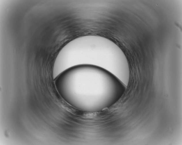 X0000096400084200801241013