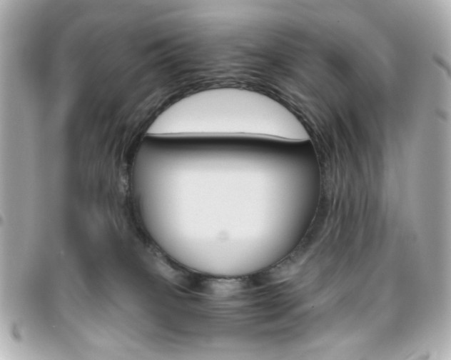 X0000096400085200801241013