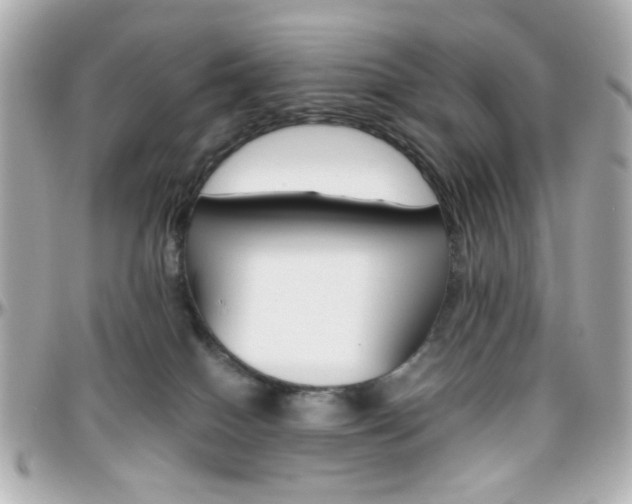 X0000096400086200801241013