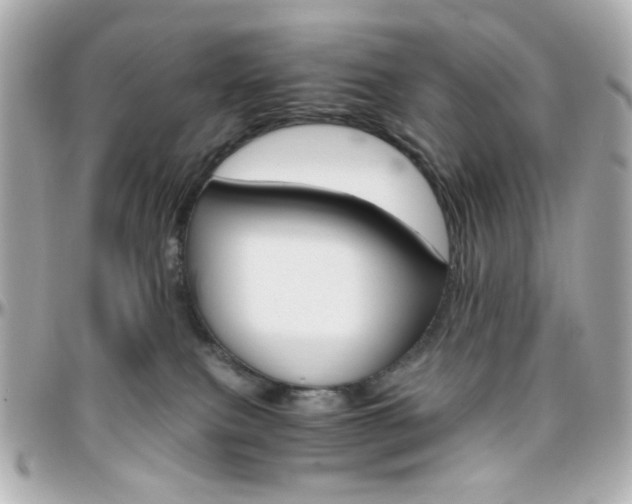 X0000096400087200801241013