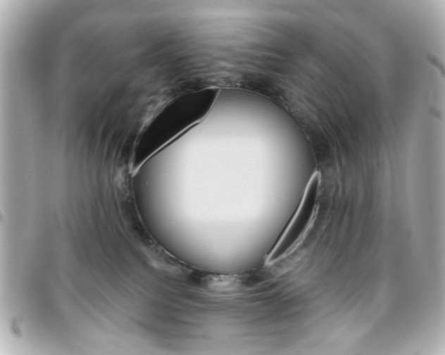 X0000096400088200801241013