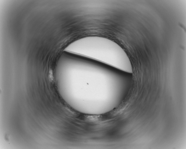 X0000096400089200801241013