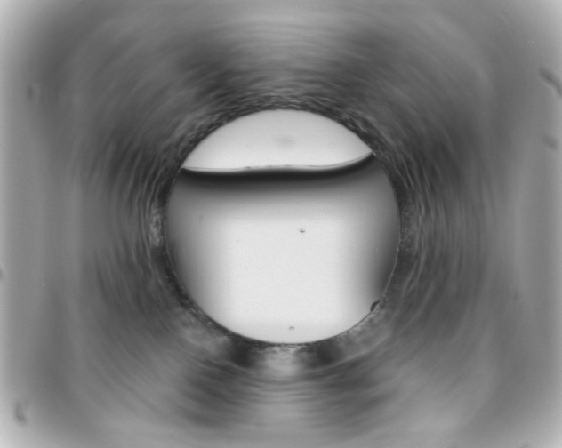 X0000096400090200801241013