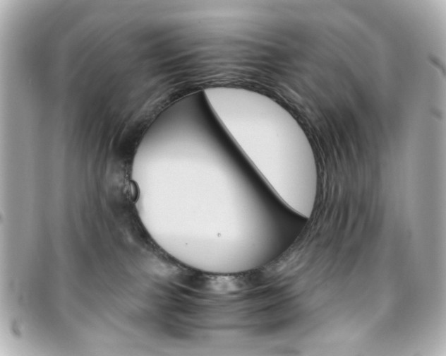 X0000096400091200801241013