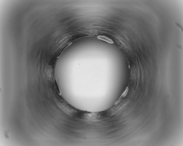 X0000096400092200801241013