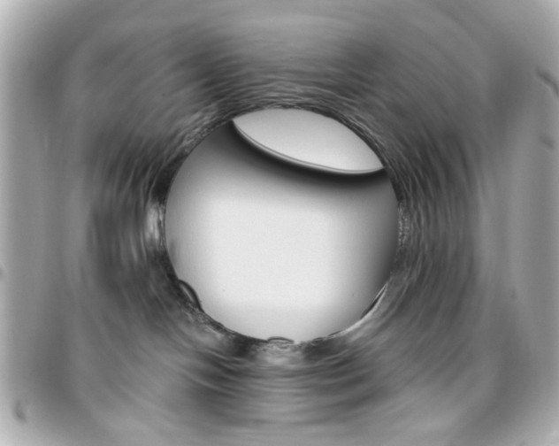 X0000096400094200801241013