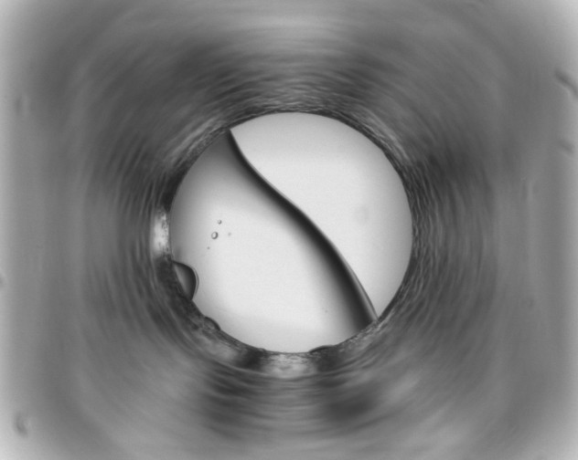 X0000096400095200801241013